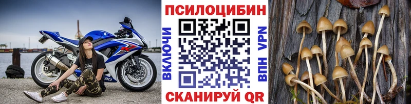 Галлюциногенные грибы ЛСД  купить наркоту  Кадников 